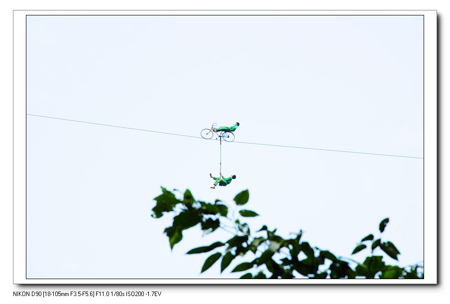 neo_img_2075168.jpg