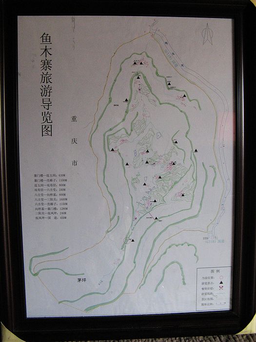 neo_img_img_5060.jpg