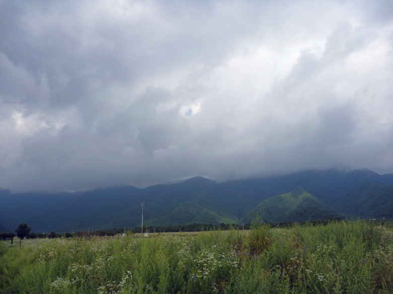 p1120378_.jpg