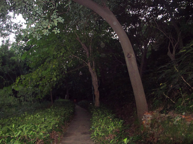 20120828ͽ 003_.jpg