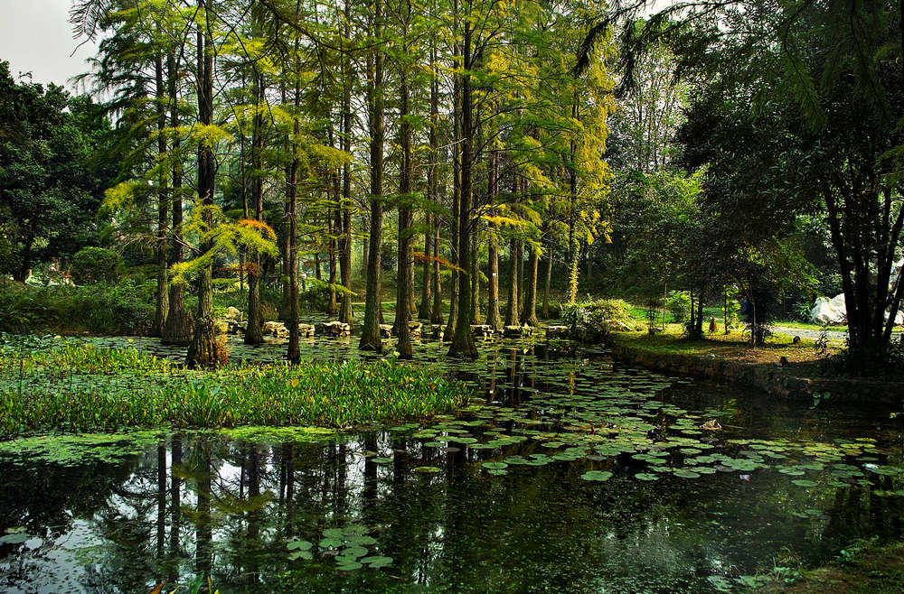 pano001.jpg
