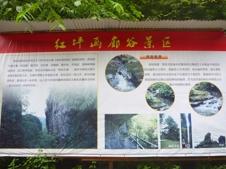 p1120573_.jpg