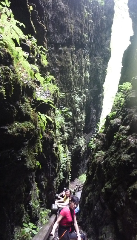 p1120587_.jpg