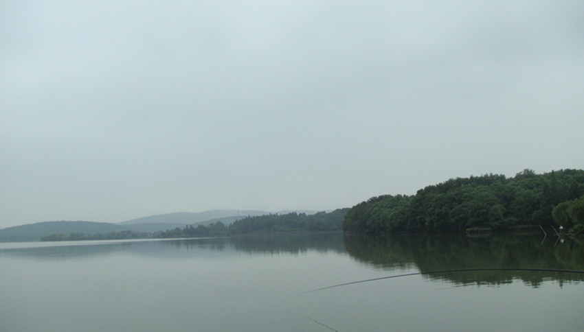 dsc08350_.jpg