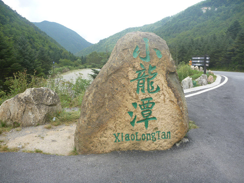 p1120526_.jpg