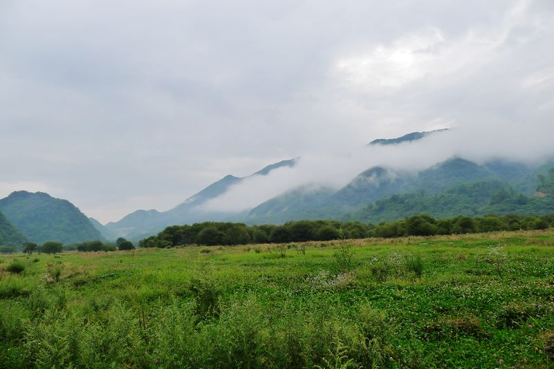 羰59.jpg