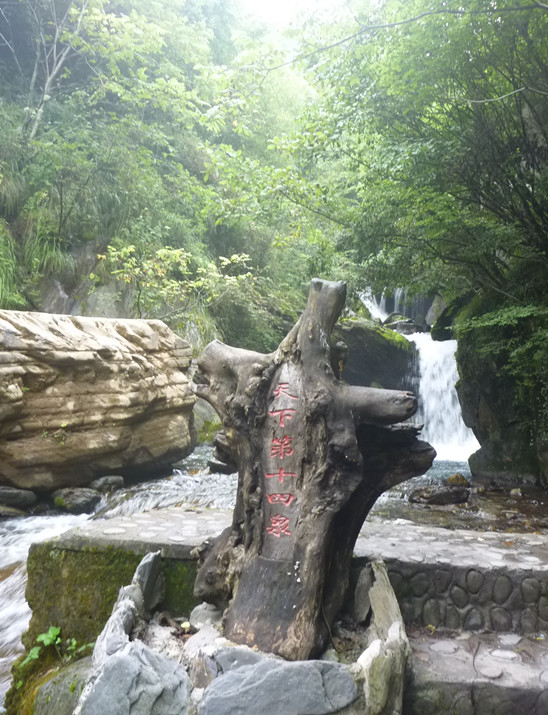 p1120608_.jpg