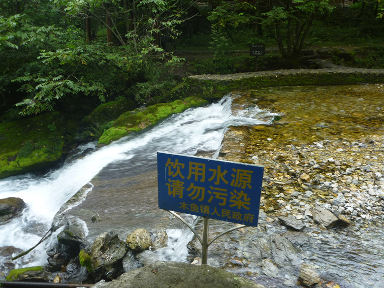 p1120633_.jpg