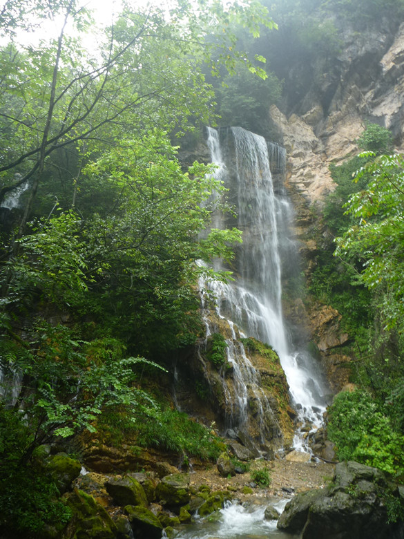 p1120647_.jpg