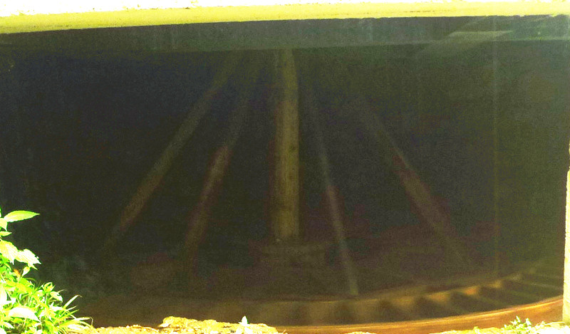p1120670_.jpg
