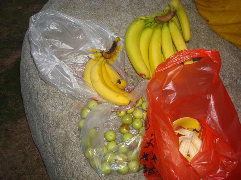 dsc01097_2.jpg