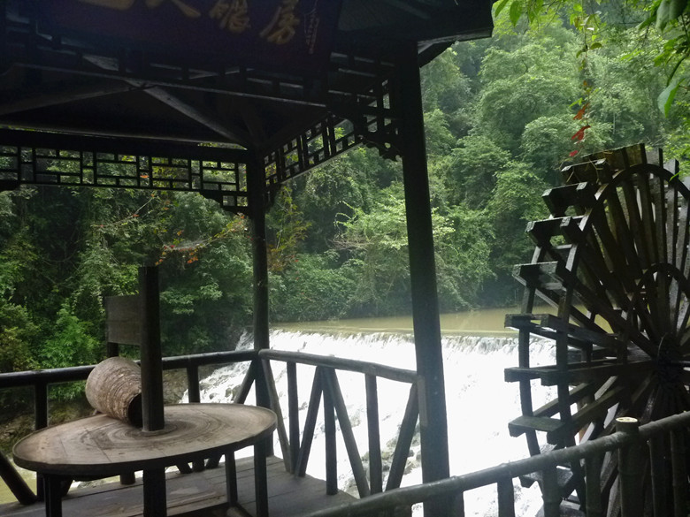 p1120688_.jpg