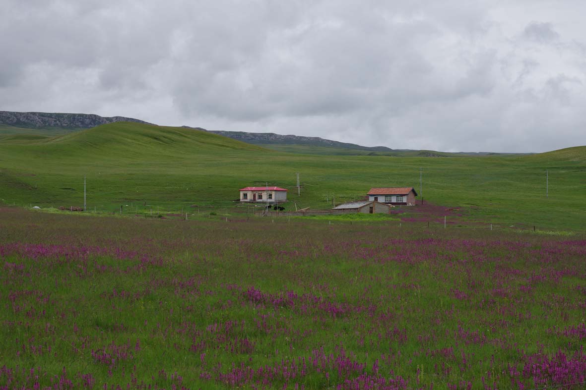 imgp0727.jpg