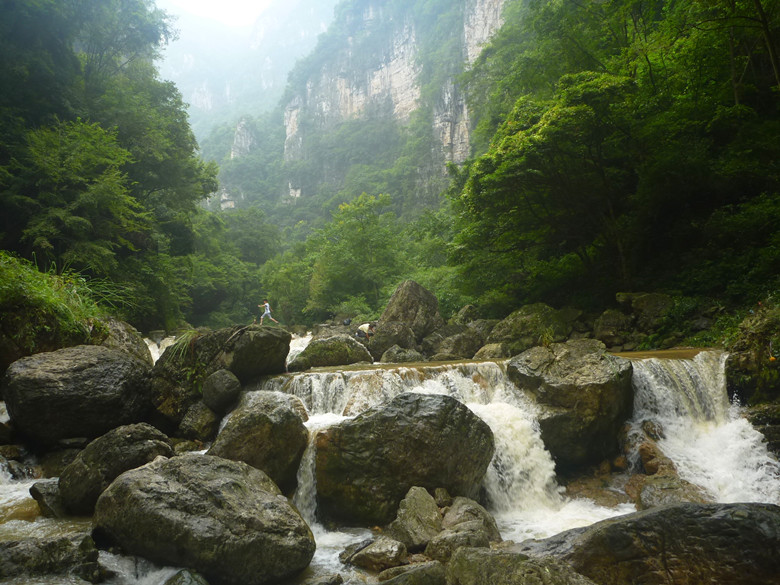 p1120698_.jpg