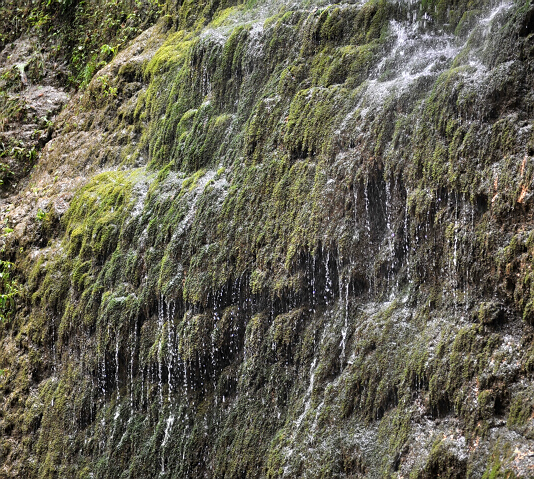 dsc_5886.534x479.289.7k.jpg