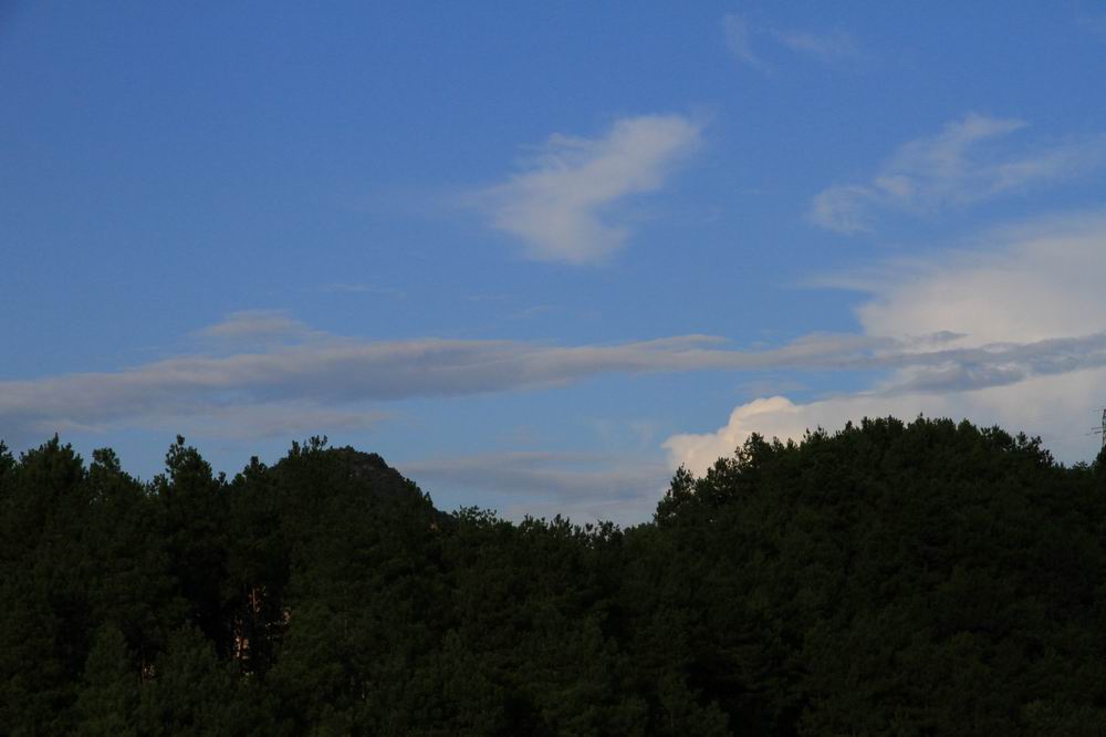 img_1605.jpg