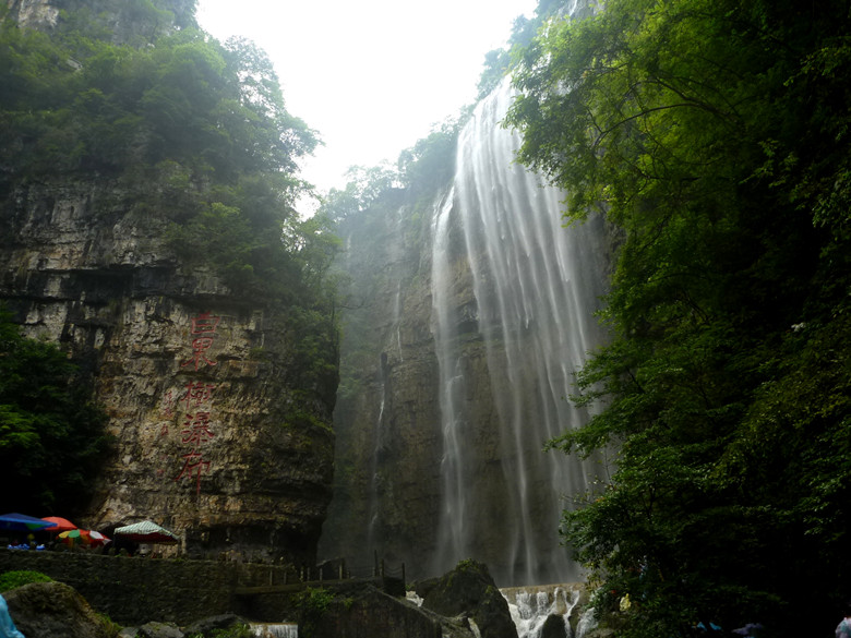 p1120706_.jpg