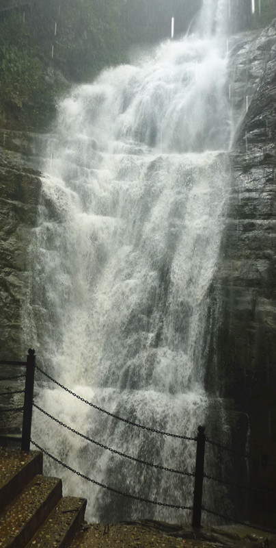 p1120713_.jpg
