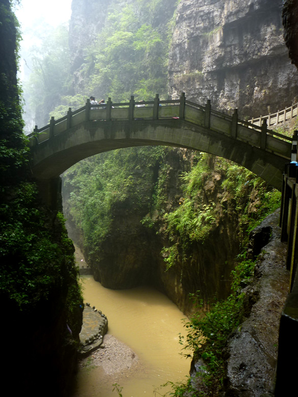 p1120722_.jpg