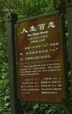 p1120727_.jpg