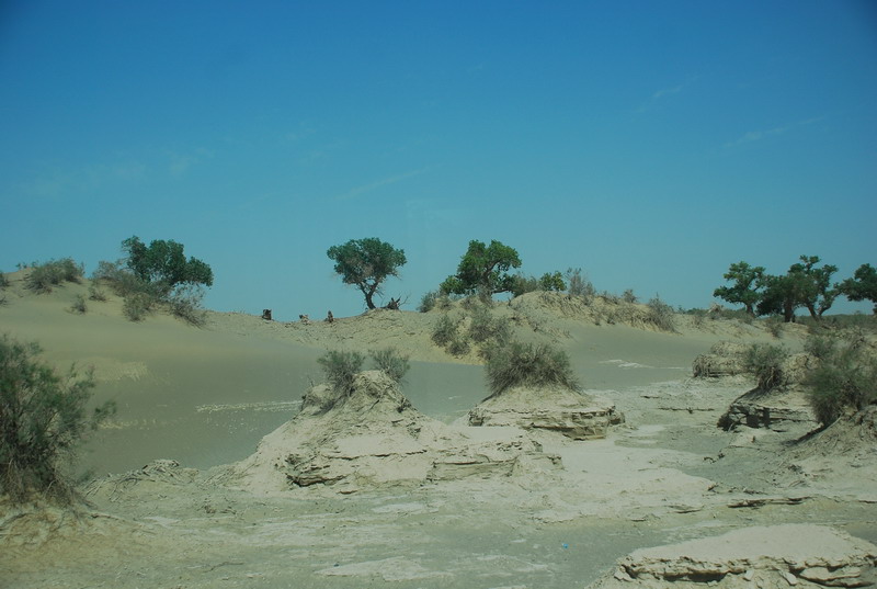 dsc_2240.jpg