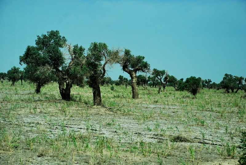 dsc_2285.jpg