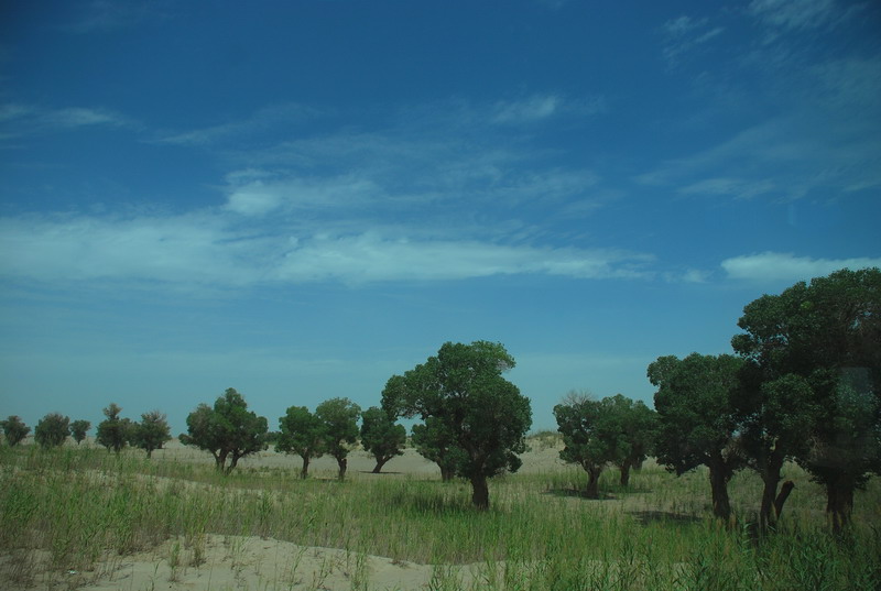 dsc_2305.jpg