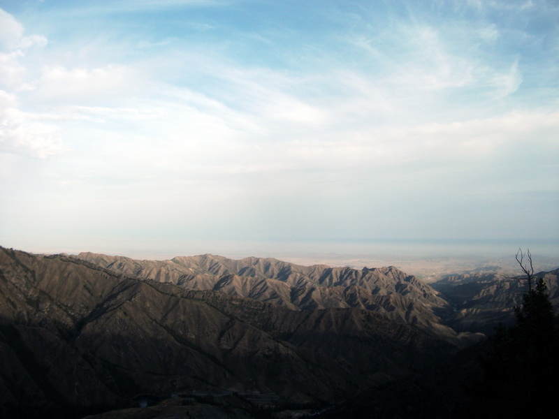 dscf0228.jpg