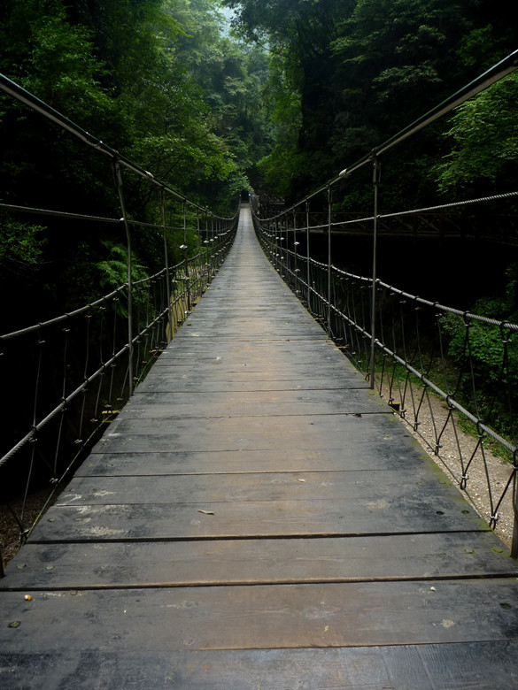 p1120730_.jpg