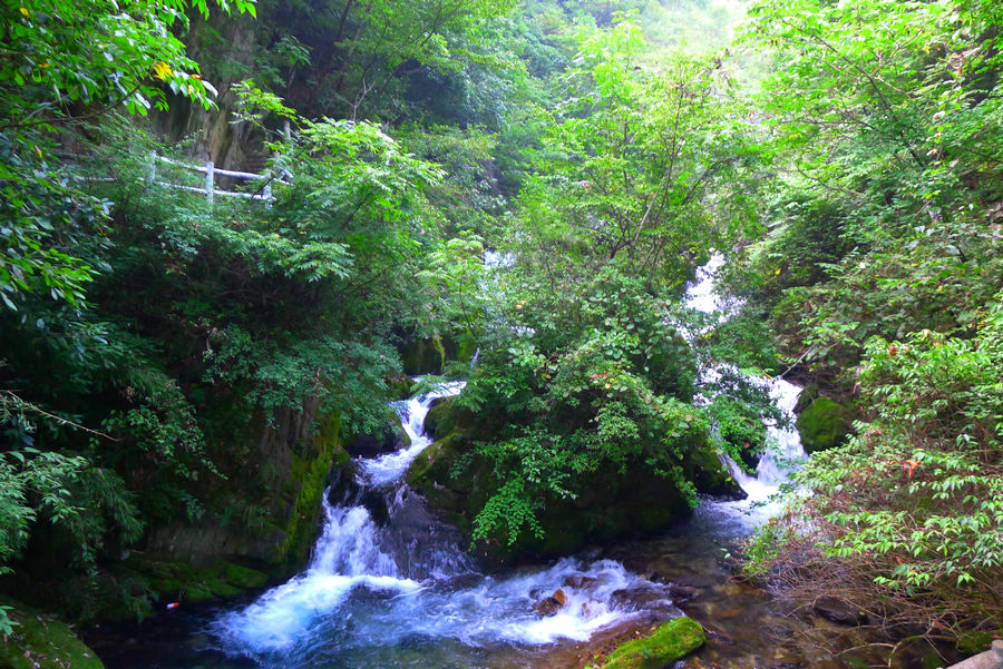 p1010553-1.jpg