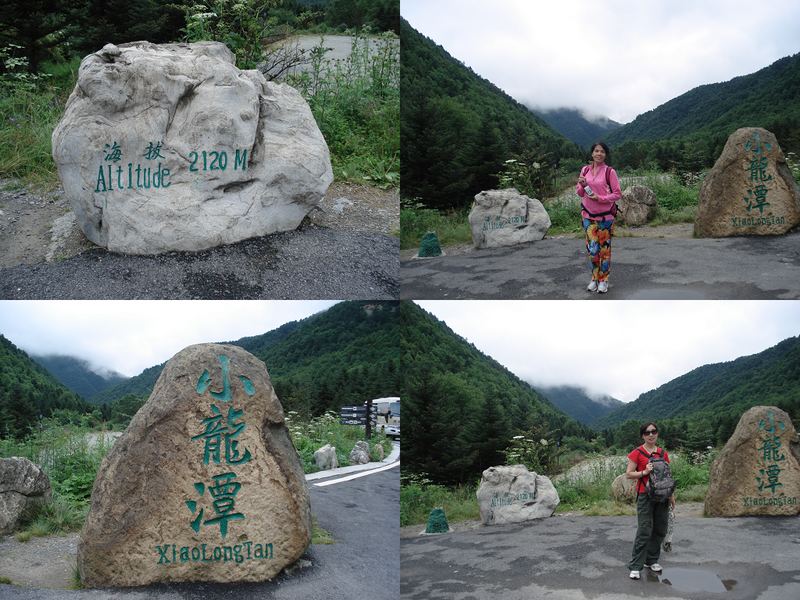 dsc08987.jpg