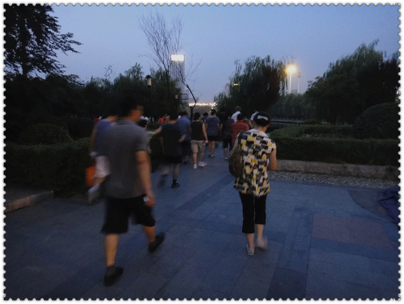 dsc02974_.jpg