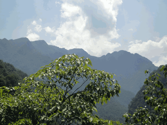 dsc00063.gif