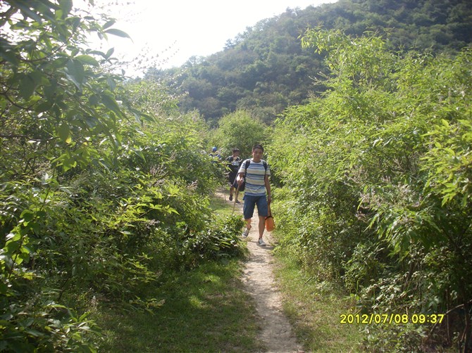 52_183033_77cd30493cb4af0.jpg