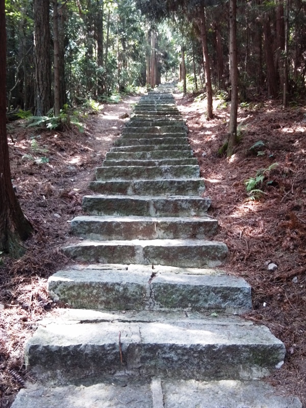 2012-08-02_10-15-22_576.jpg
