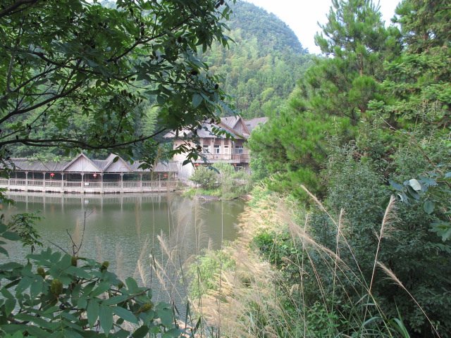 img_5168.jpg