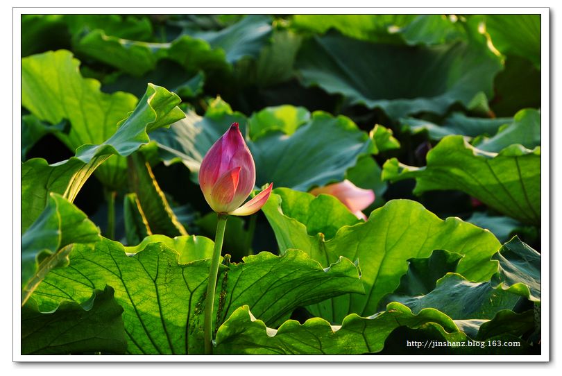 neo_img_dsc_4999.jpg