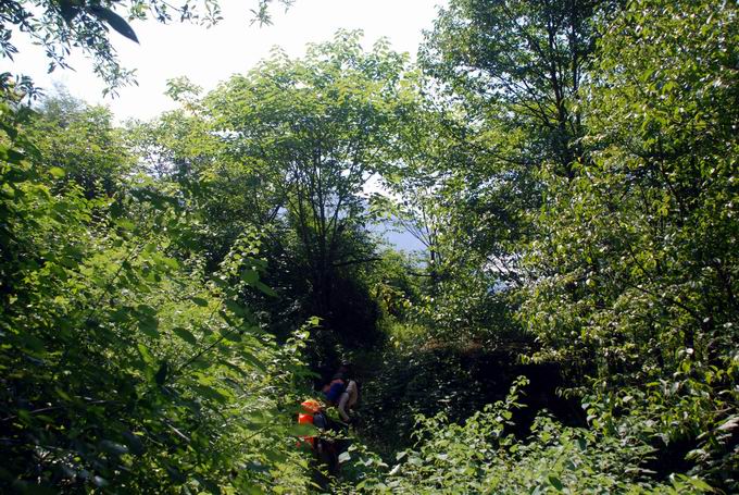 С dsc_0063.jpg