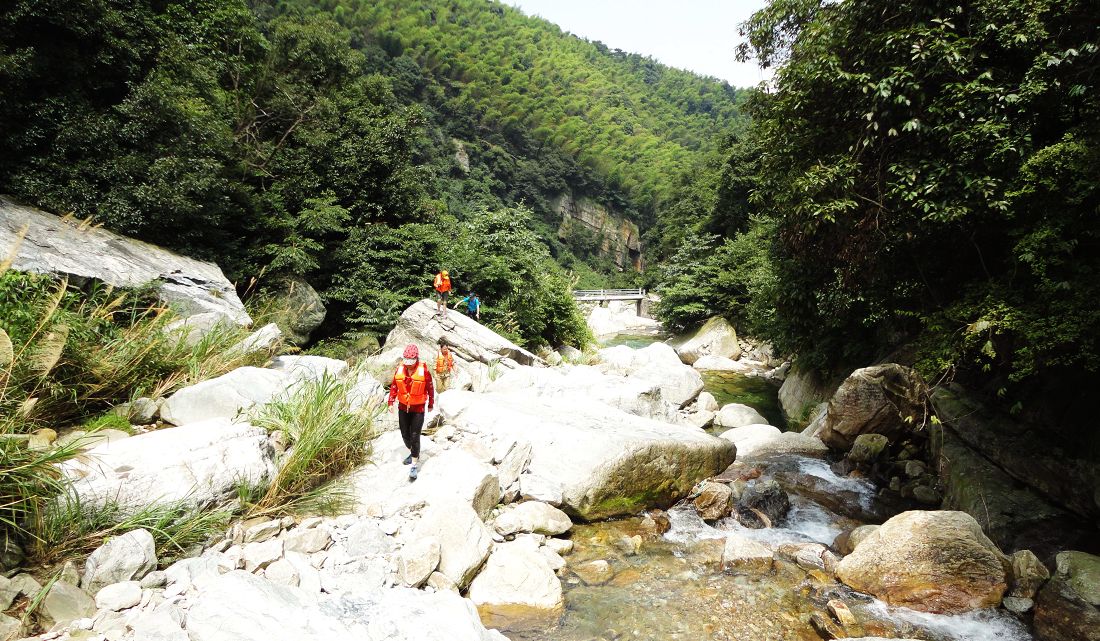 neo_img_dsc08565.jpg