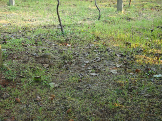dsc06630.jpg