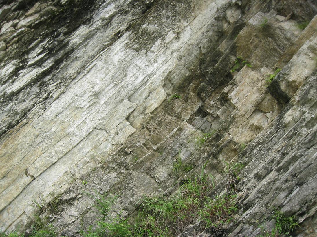 img_139601.jpg