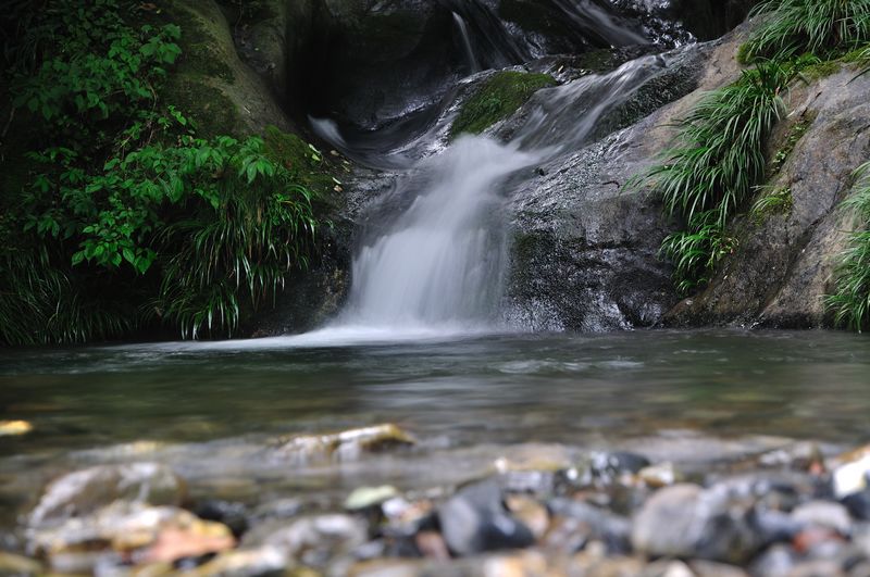 dsc_0130.jpg