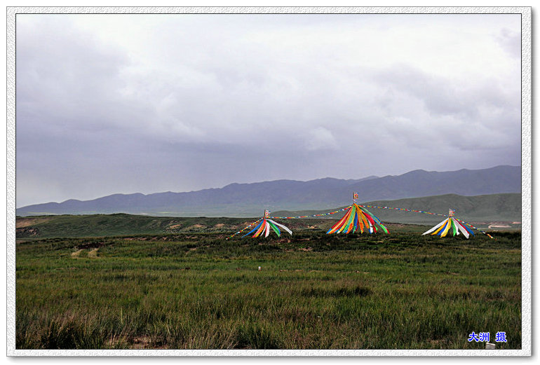 dsc_0450.jpg
