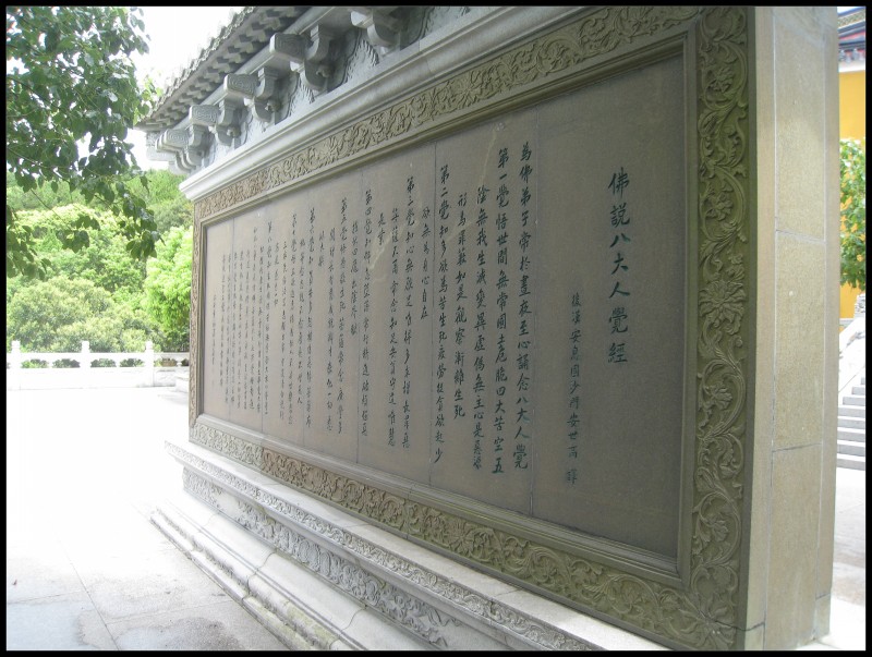 conew_img_4132.jpg