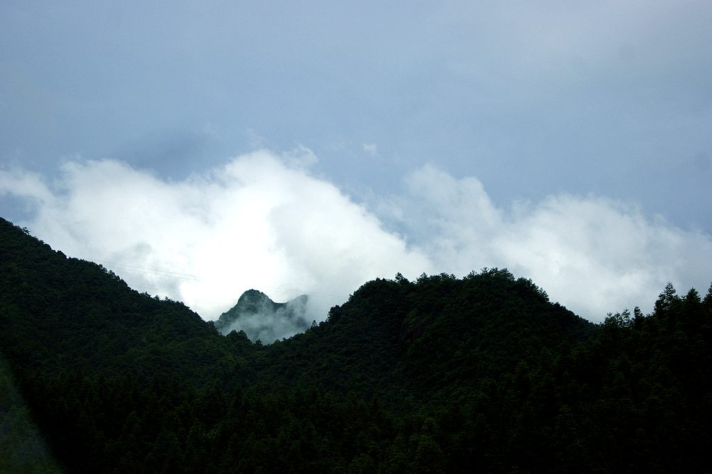 dsc00096.jpg