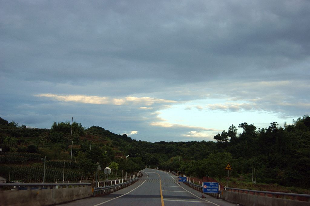 dsc00206.jpg