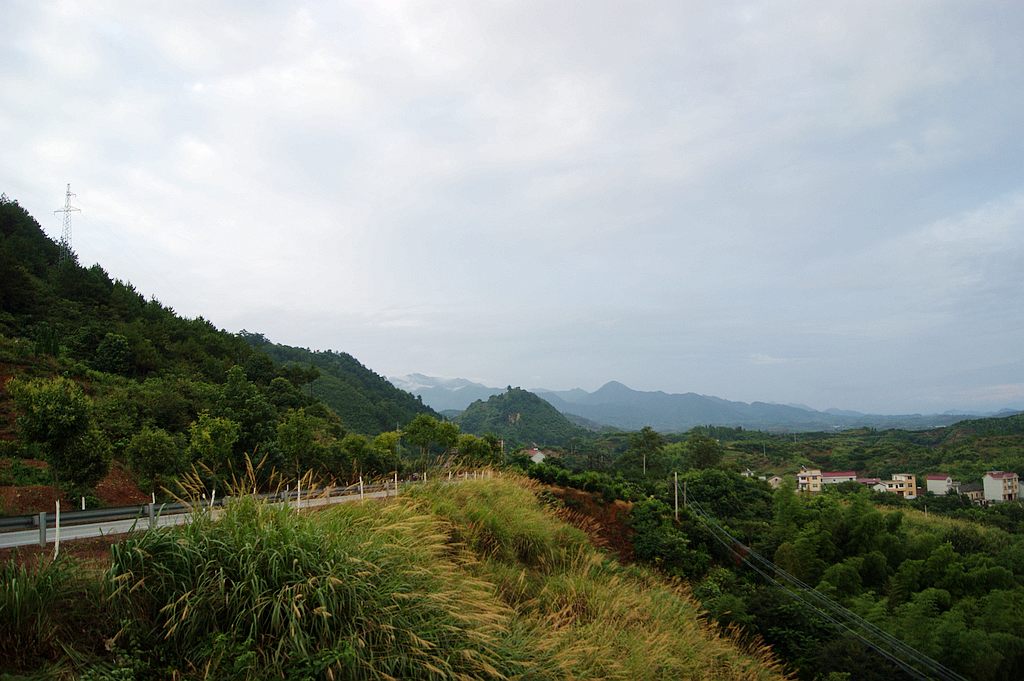 dsc00177.jpg