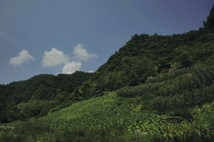 dsc00152.gif