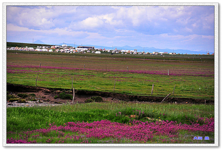 dsc_0624.jpg