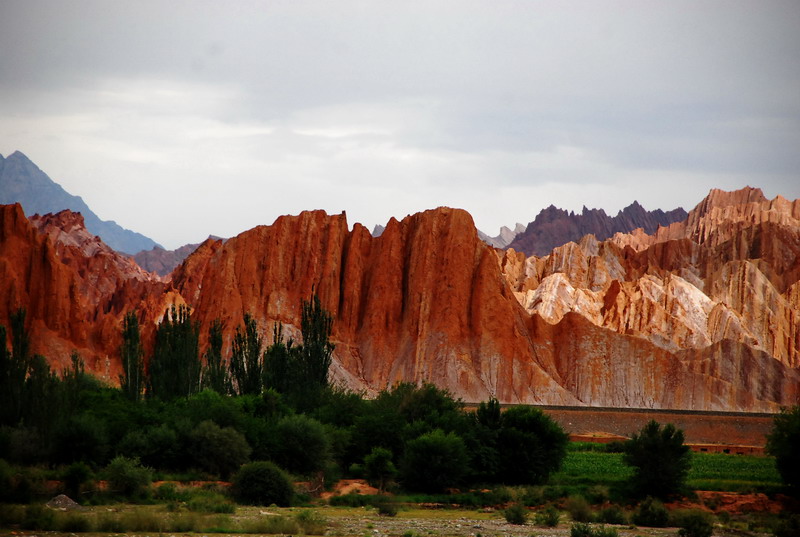 dsc_4624.jpg